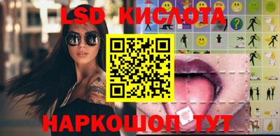 spice Камышлов