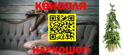 spice Камышлов