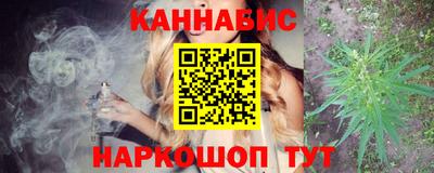 spice Камышлов