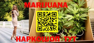 spice Камышлов