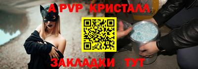 стафф Кингисепп