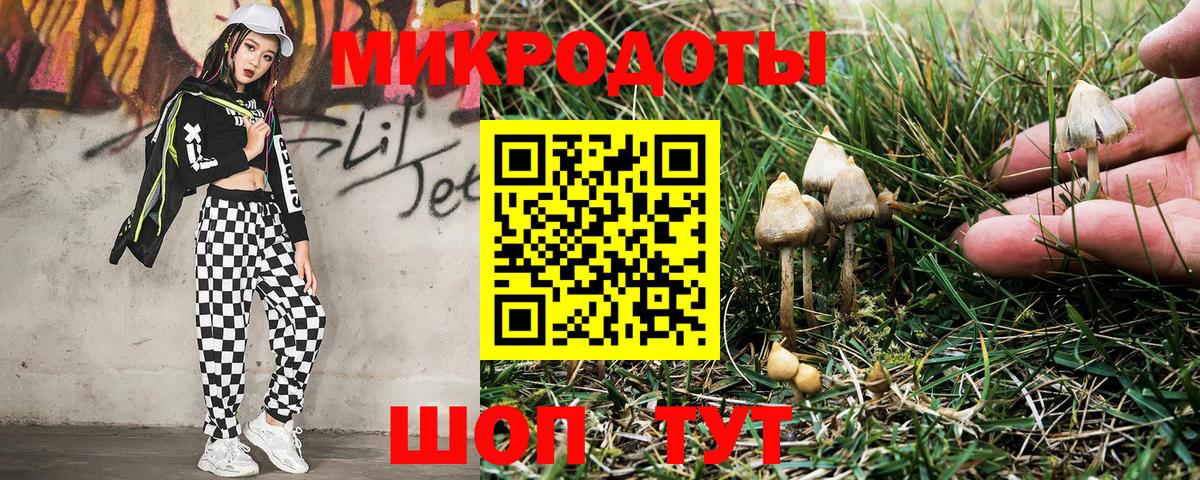 Кстово  Псилоцибиновые грибы Cubensis  Псилоцибиновые грибы GOLDEN TEACHER  Вход с VPN 